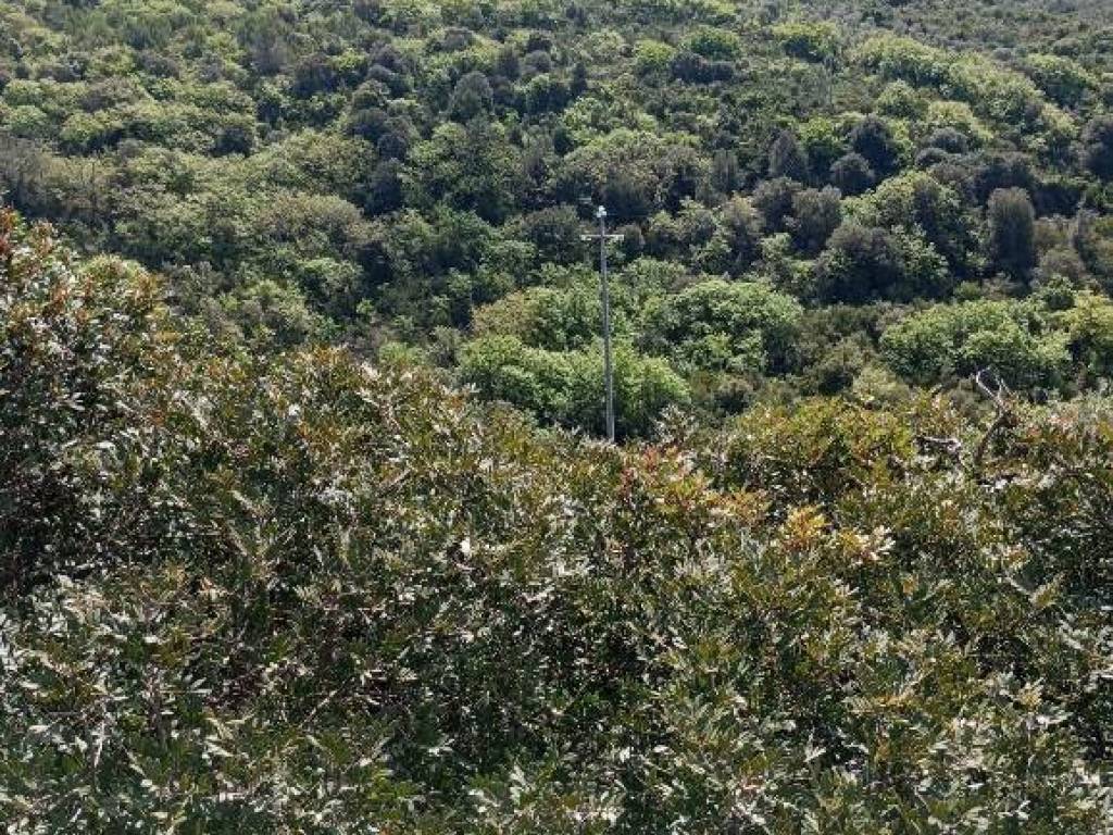 Terreno a Sassari in Strada Vicinale Logulentu Badde Tolta - Foto 4