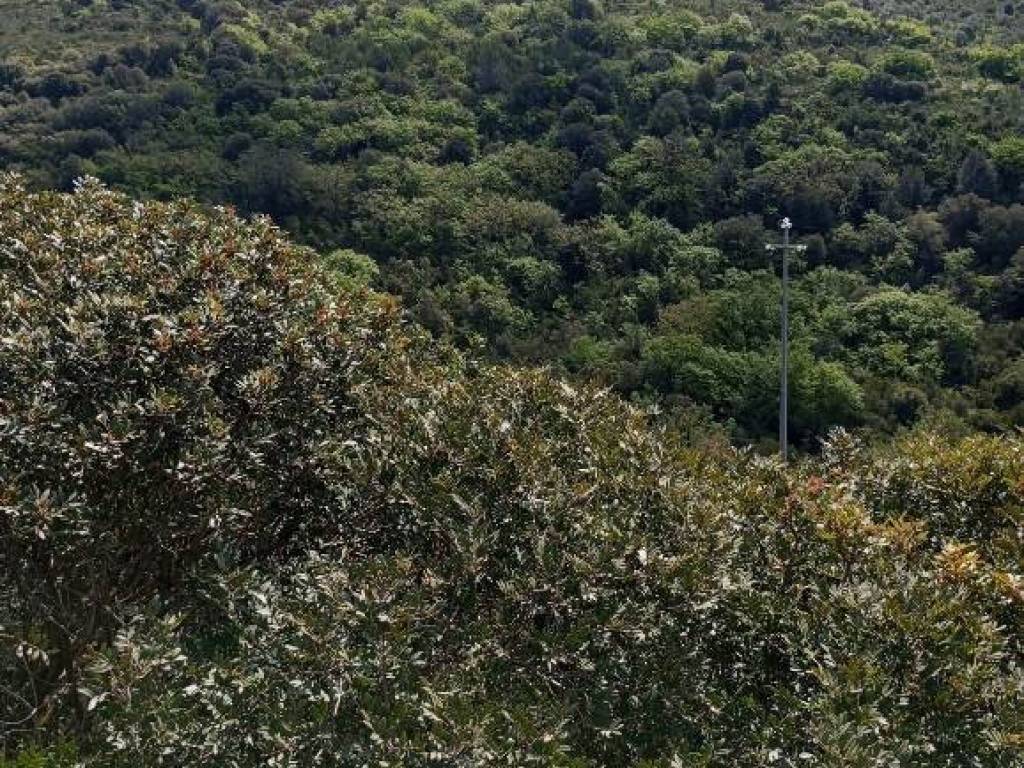 Terreno a Sassari in Strada Vicinale Logulentu Badde Tolta - Foto 5