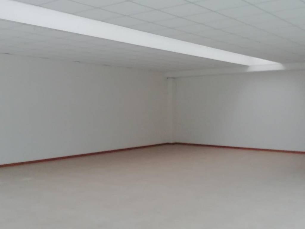 Immobile a Mogliano veneto - Foto 4