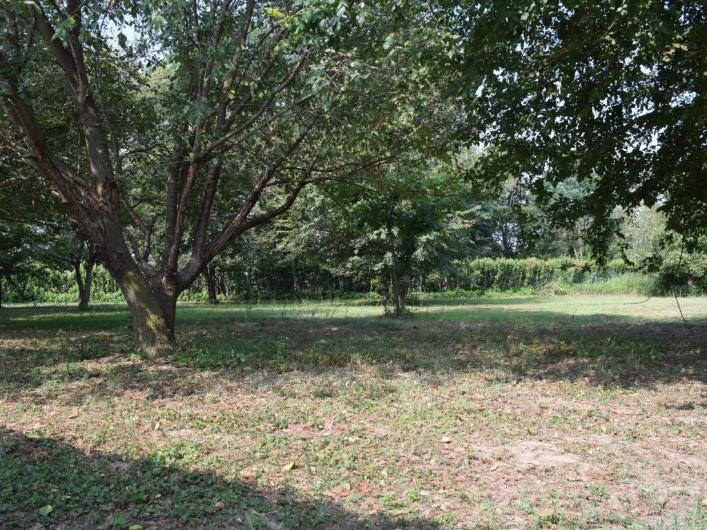 Rustico / casale a Sillavengo - Foto 4