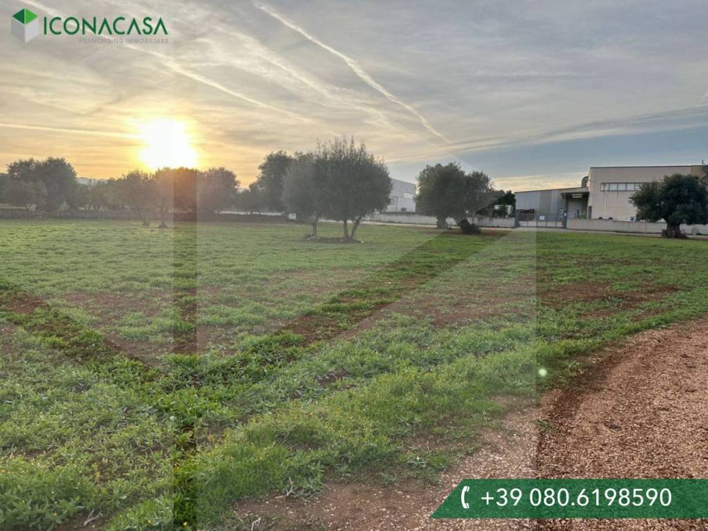 Terreno a Fasano in Contrada Sant'Angelo - Foto 2