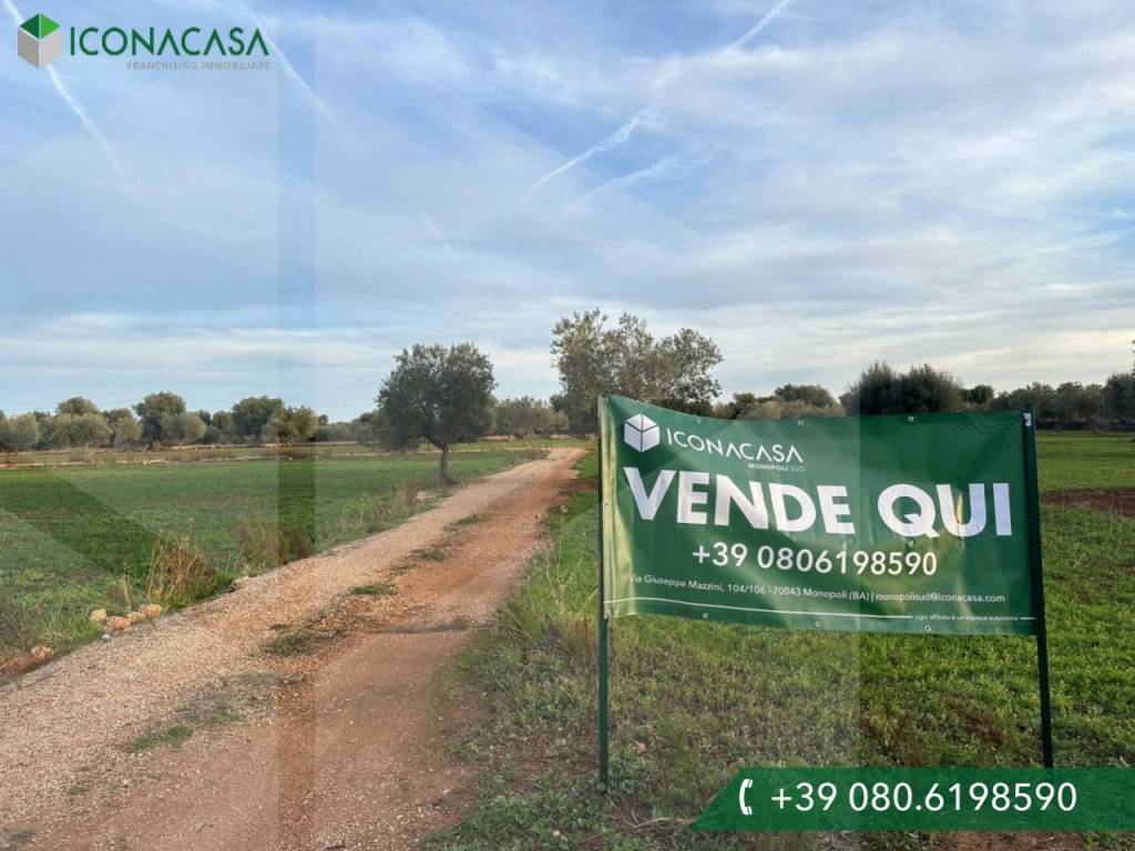 Terreno a Fasano in Contrada Sant'Angelo - Foto 4