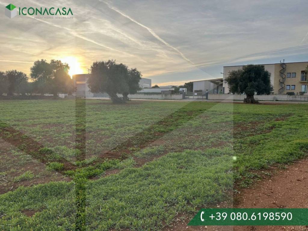 Terreno a Fasano in Contrada Sant'Angelo - Foto 5