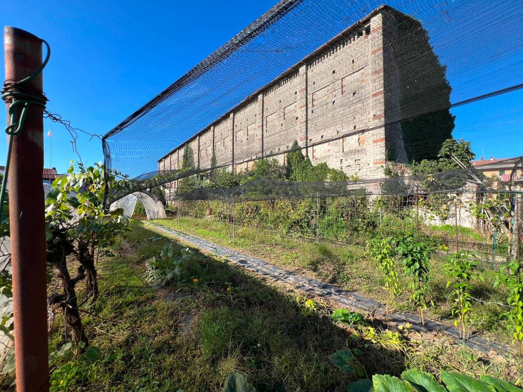 Rustico / casale a Isola della scala in Via Mandella - Foto 4