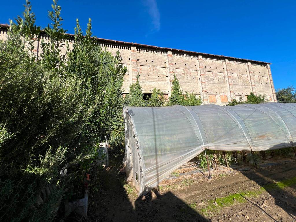 Rustico / casale a Isola della scala in Via Mandella - Foto 5