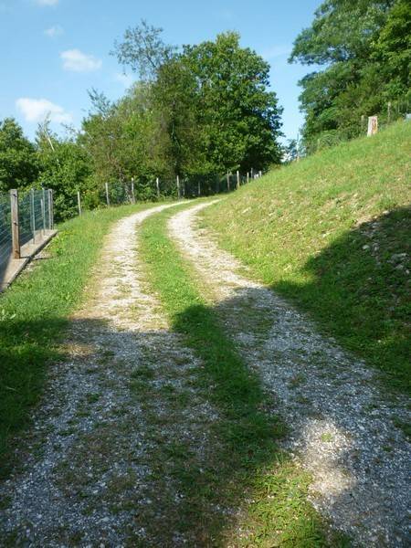 Rustico / casale a Pievepelago in Via Radici, 6 - Foto 5