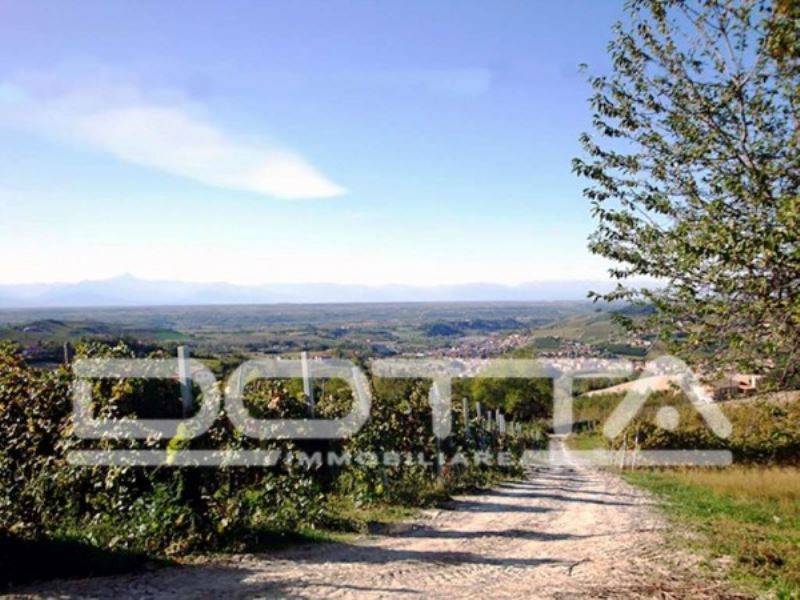 Rustico / casale a Dogliani in Borgata Pamparato, 1 - Foto 4