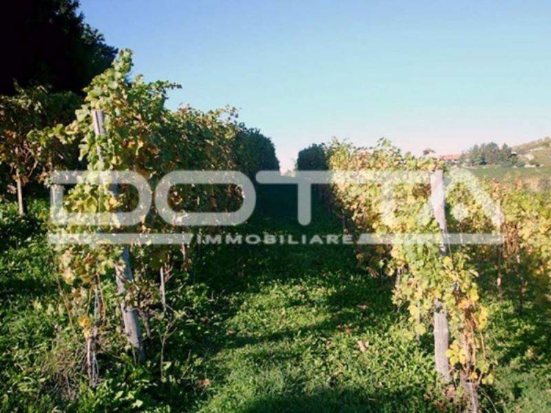 Rustico / casale a Dogliani in Borgata Pamparato, 1 - Foto 5