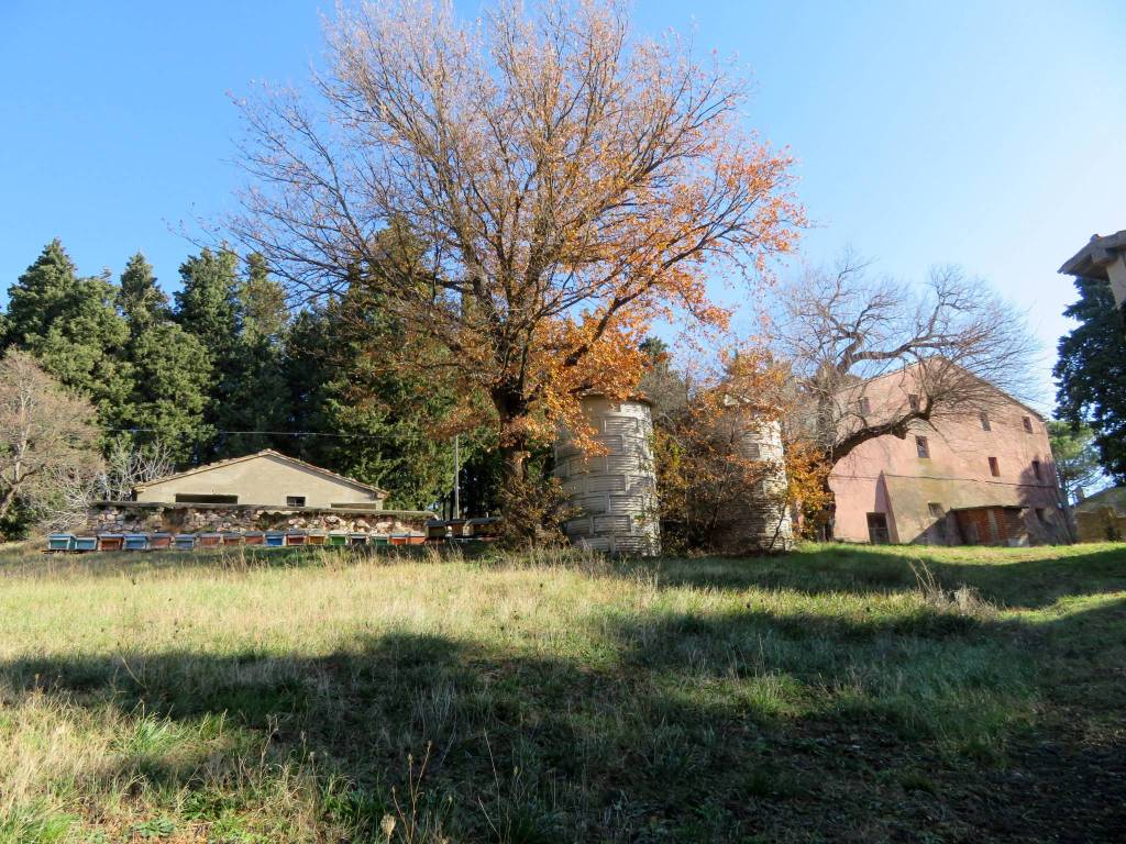 Rustico / casale a Tolentino in Contrada Sant'Angelo - Foto 2