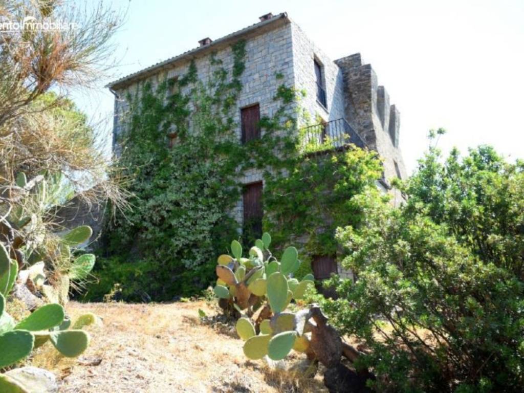 Rustico / casale a Casal velino in SS267, 75 - Foto 2