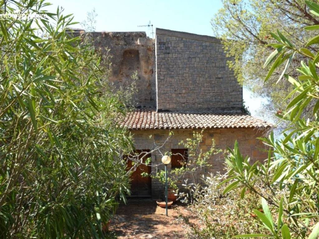 Rustico / casale a Casal velino in SS267, 75 - Foto 3