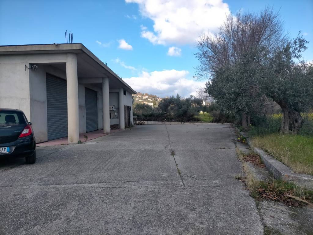 Immobile a Grotteria in Contrada Pirgo, 22 - Foto 4