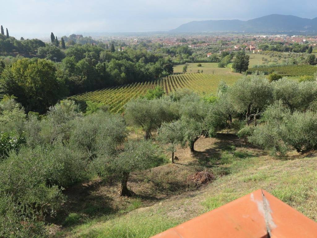 Villa a Castelnuovo magra in Via Case Rosse, 1 - Foto 5