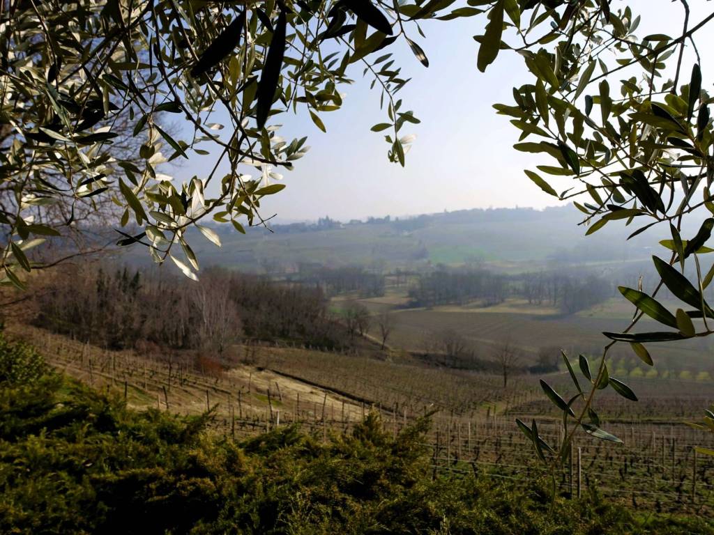 Rustico / casale a Agliano terme in Regione Brussacco - Foto 2