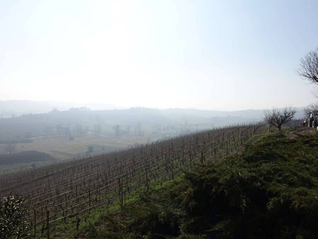 Rustico / casale a Agliano terme in Regione Brussacco - Foto 5