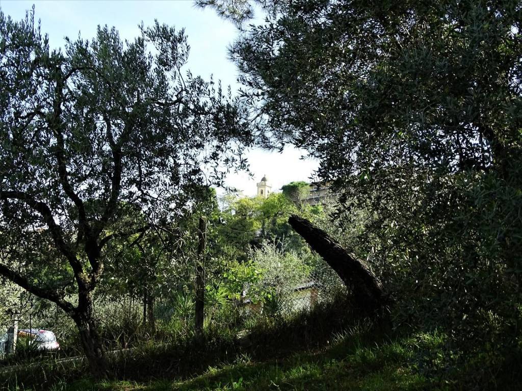 Villa a San miniato - Foto 2