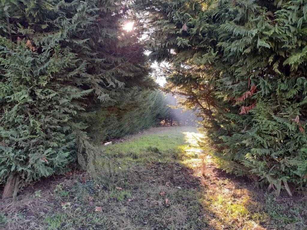 Terreno a Mantova in Trincerone No Number - Foto 3