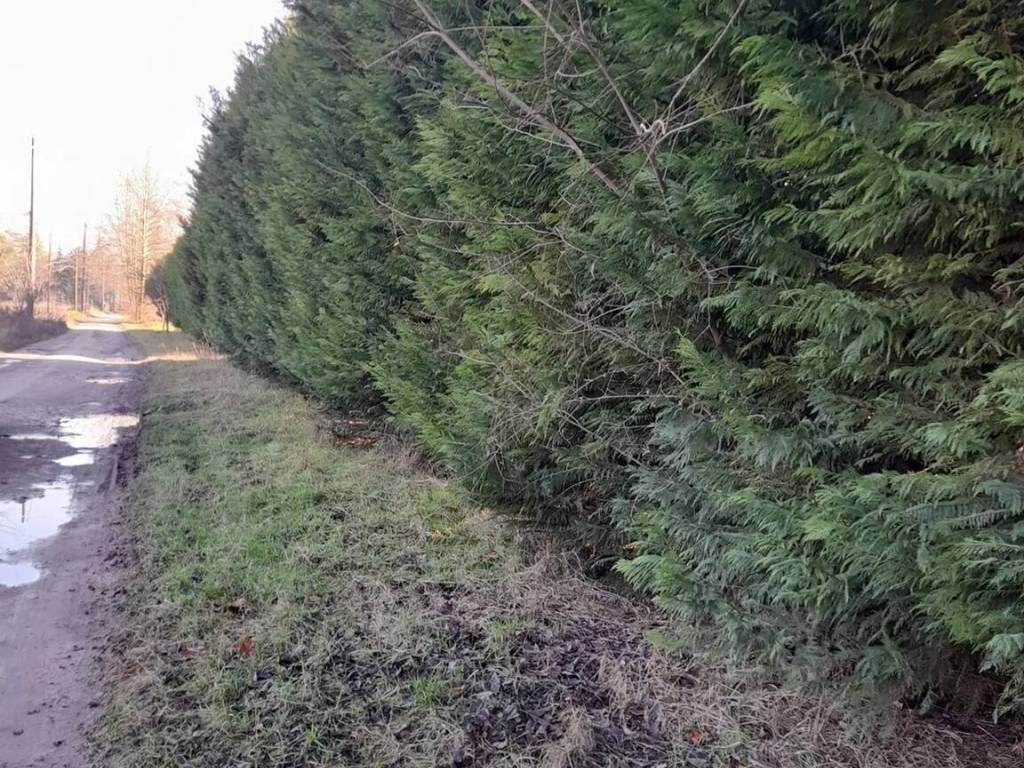 Terreno a Mantova in Trincerone No Number - Foto 4