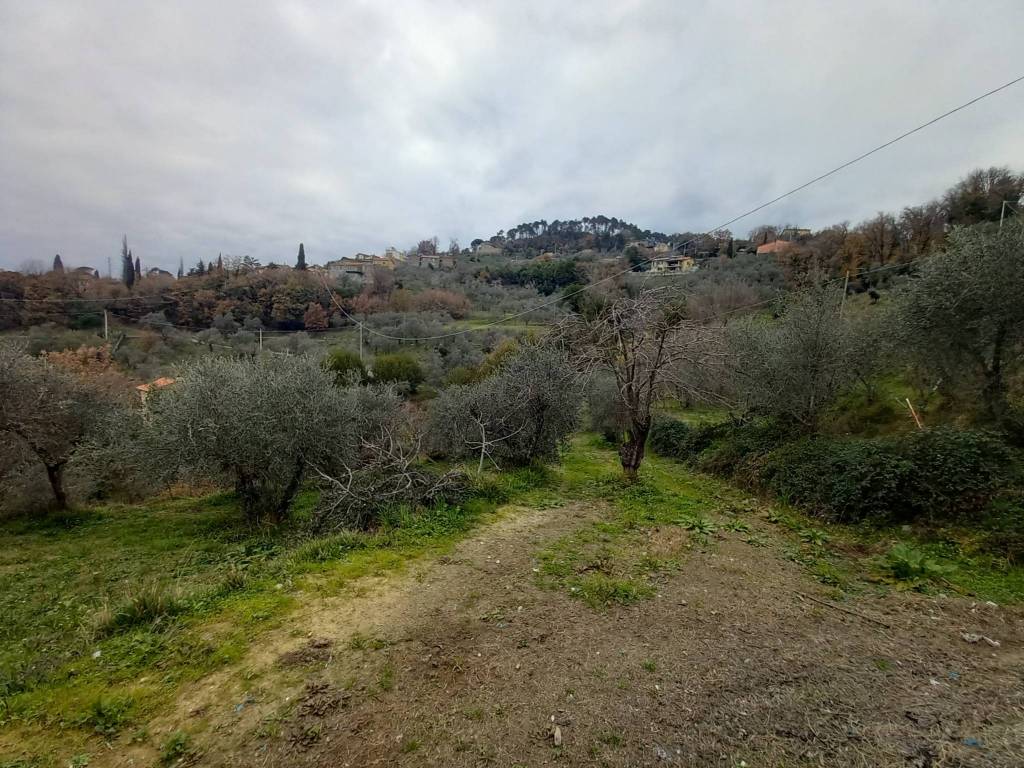 Rustico / casale a Sarzana in Via alla Fortezza - Foto 3