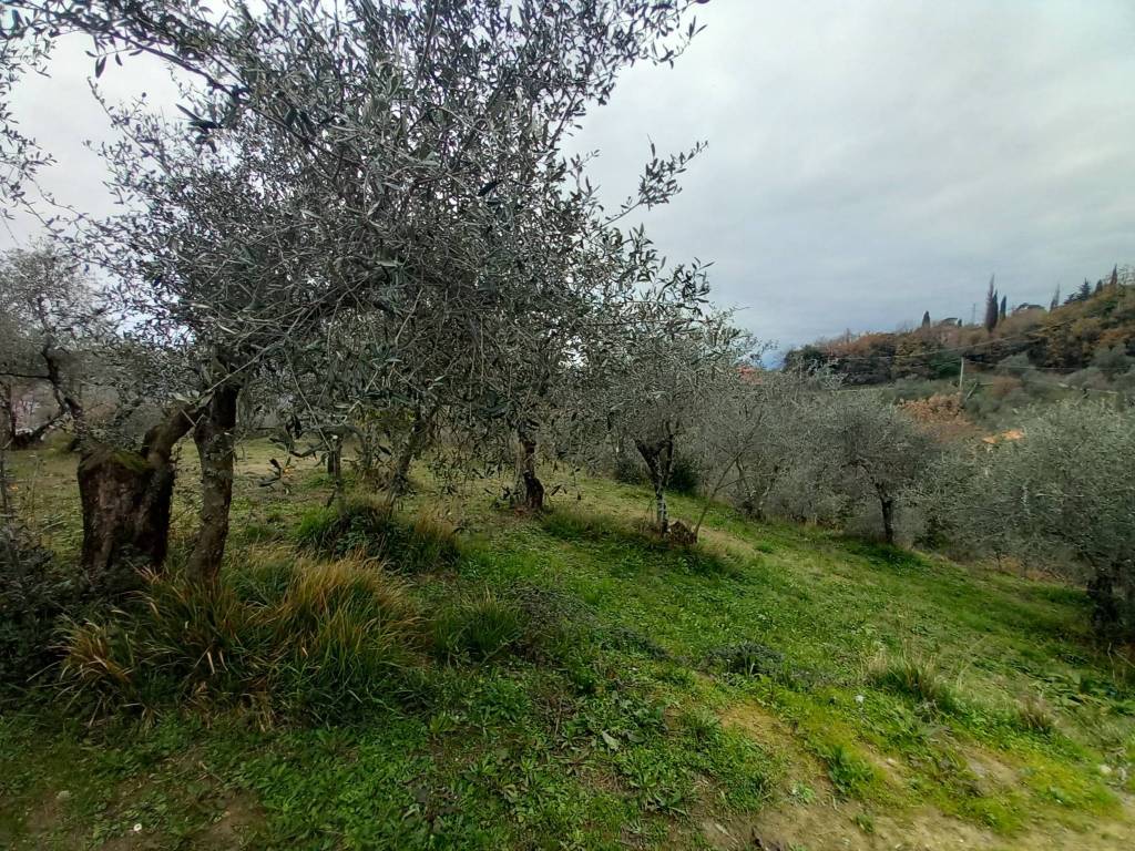 Rustico / casale a Sarzana in Via alla Fortezza - Foto 4