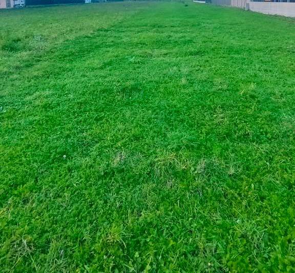 Terreno a Montebelluna in Piazza Luigi Negrelli, 24 - Foto 2