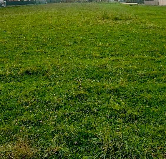 Terreno a Montebelluna in Piazza Luigi Negrelli, 24 - Foto 4
