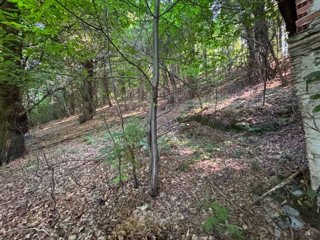 Rustico / casale a Paesana in Borgata Rossetti - Foto 2