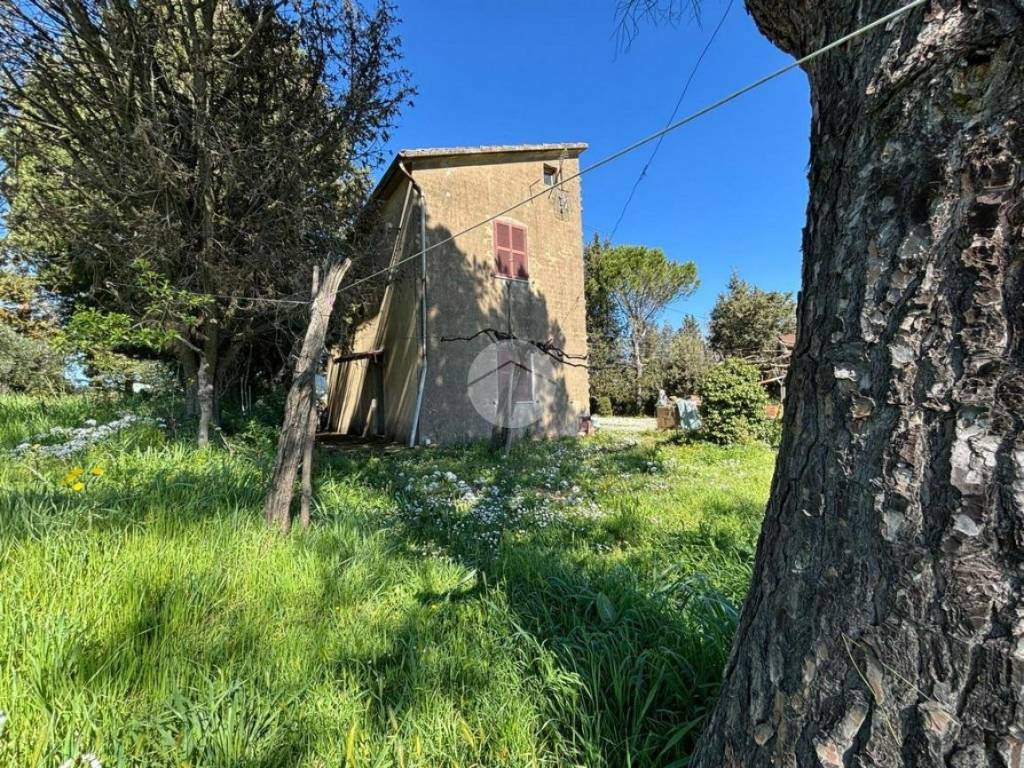 Rustico / casale a Magliano sabina in Vocabolo micotti - Foto 3