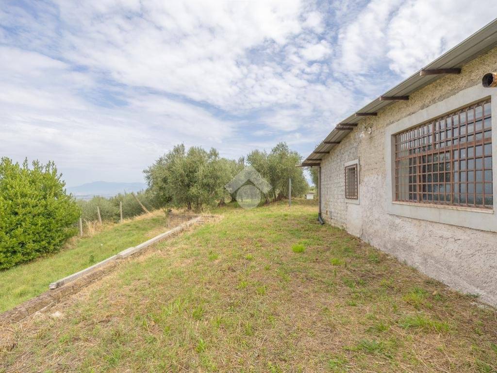 Rustico / casale a Monte porzio catone in Via torricella - Foto 2