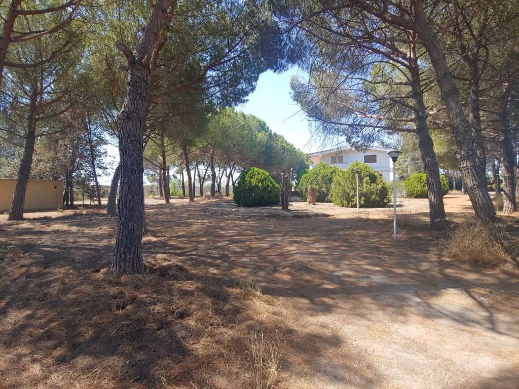 Villa a Barletta in Via Complanare Ovest - Foto 4