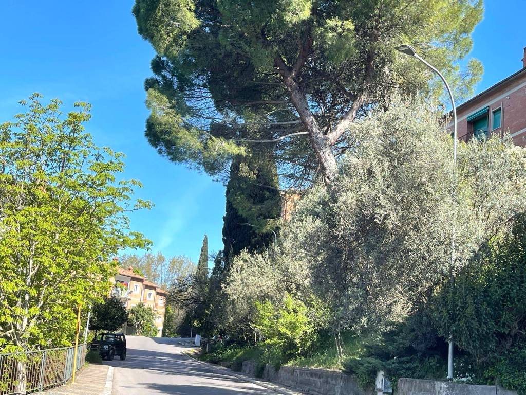 Appartamento a Perugia in Via Giovanni Verga - Foto 4