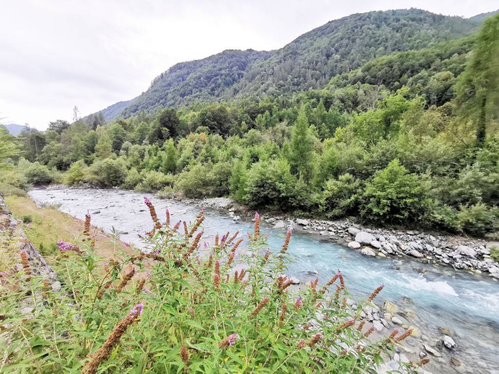 Villa a Ceres in Regione Pignere - Foto 5