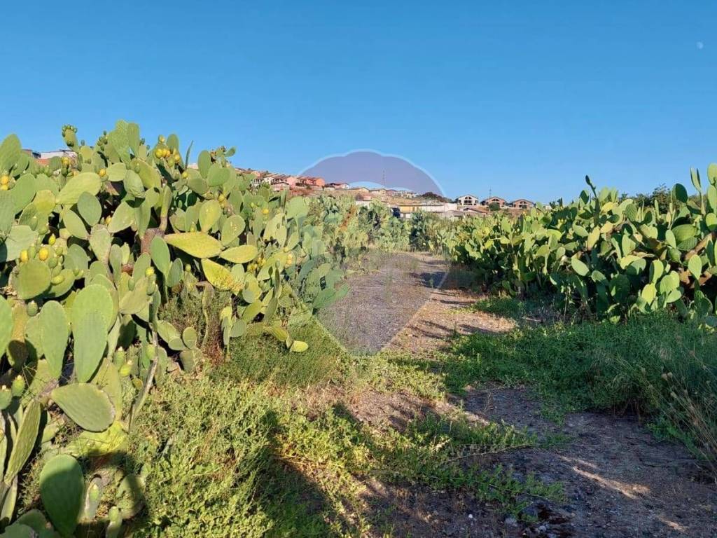 Terreno a Paternò in Contrada Fossa Creta - Foto 5