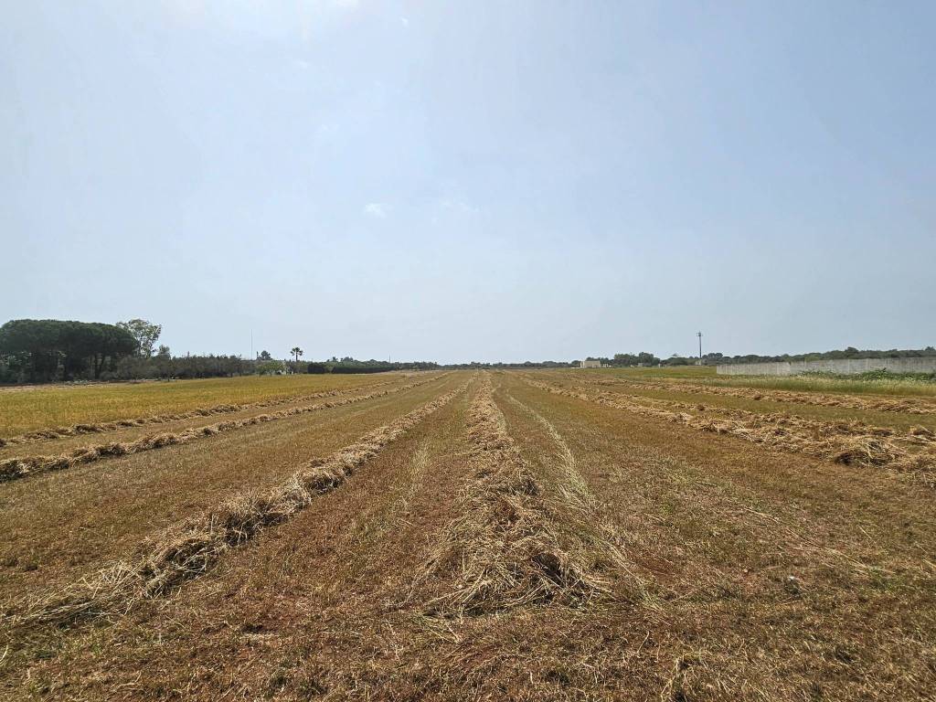 Terreno a Diso in Strada Vicinale della Pardonise - Foto 2