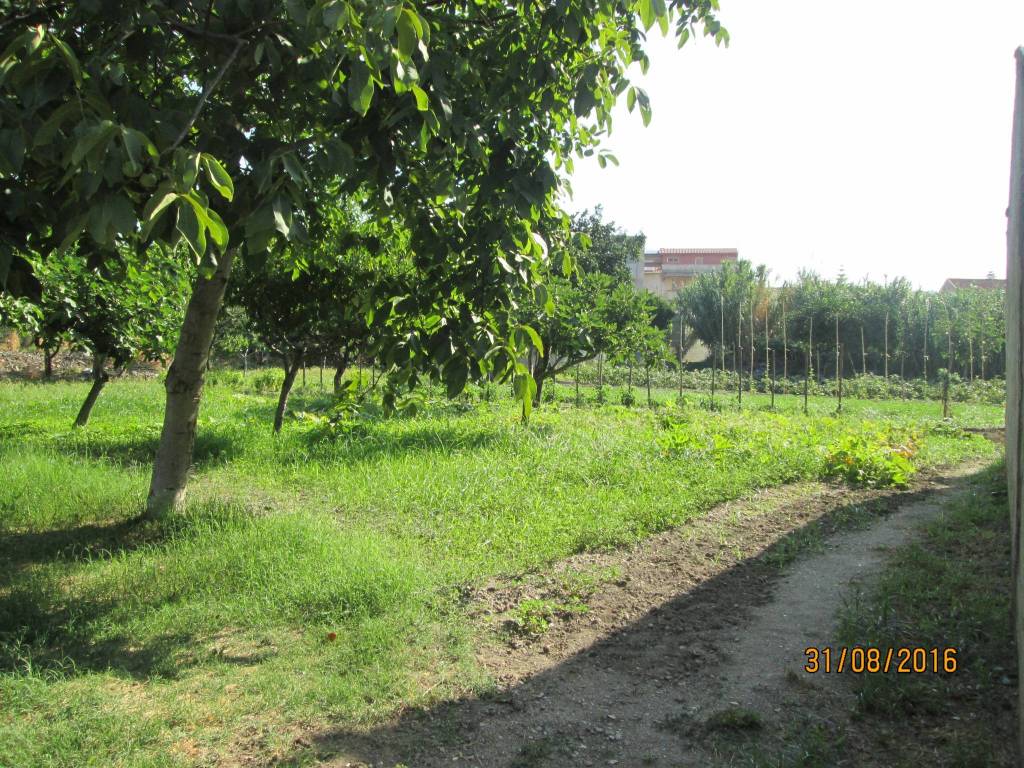 Terreno a Gioiosa ionica in Via Maratà, 40 - Foto 5