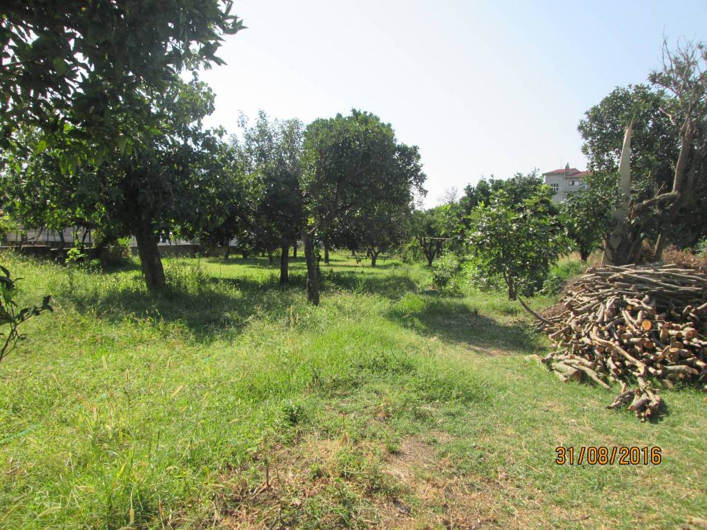 Terreno a Gioiosa ionica - Foto 3