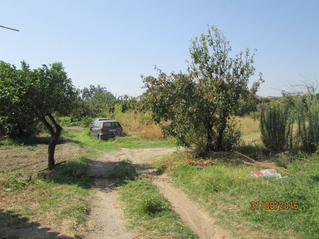 Terreno a Gioiosa ionica - Foto 4