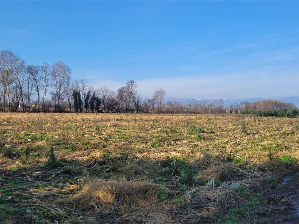 Terreno a Castelfranco veneto in Via Circonvallazione Ovest , 60 - Foto 2