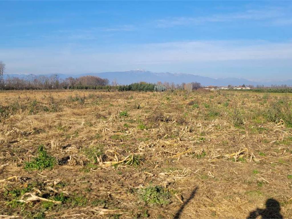 Terreno a Castelfranco veneto in Via Circonvallazione Ovest , 60 - Foto 5