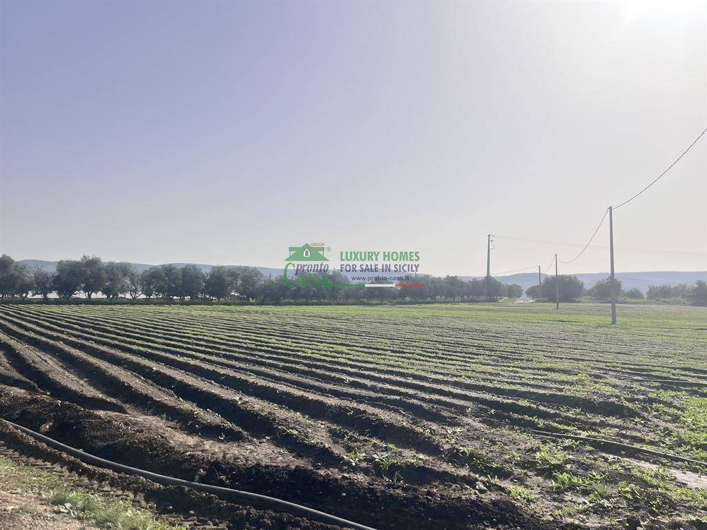 Terreno a Comiso - Foto 3