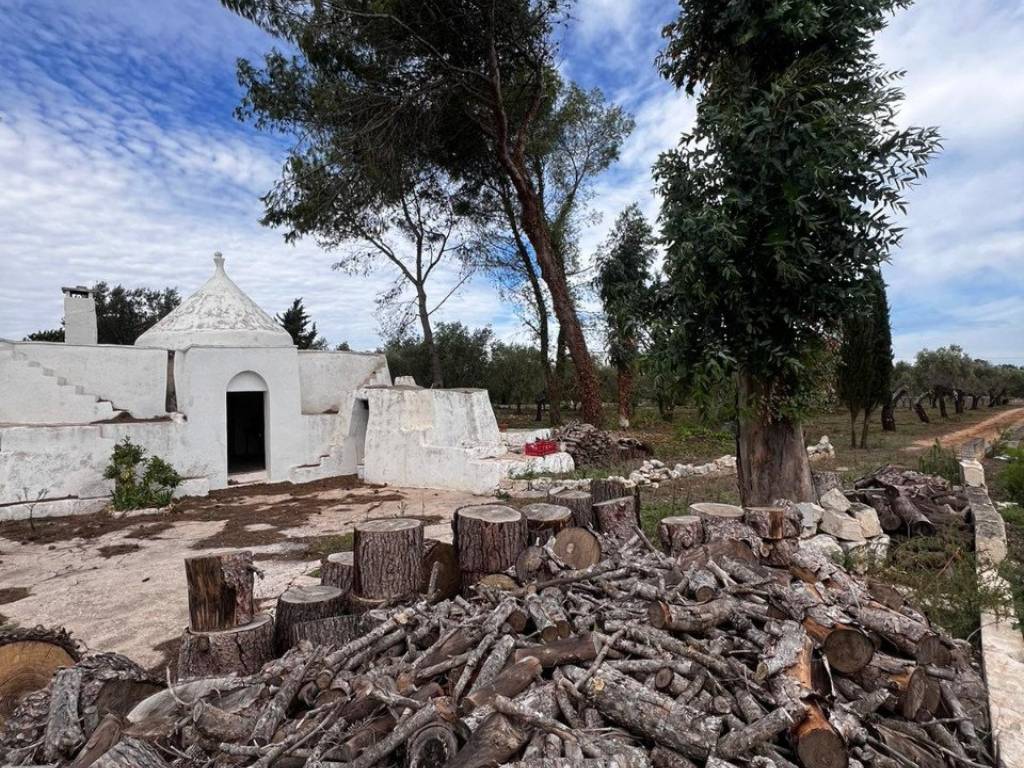 Rustico / casale a Ostuni in Contrada Falgheri - Foto 4