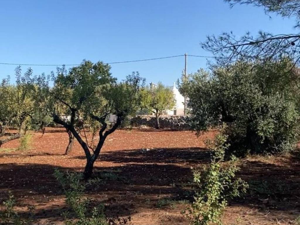 Rustico / casale a Ostuni in Cavallerizza - Foto 5
