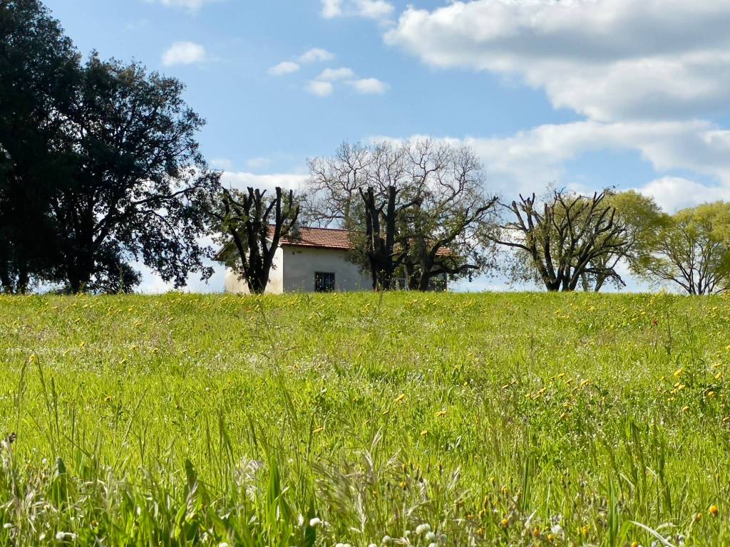 Casa indipendente a Viterbo in Strada Fastello - Foto 3