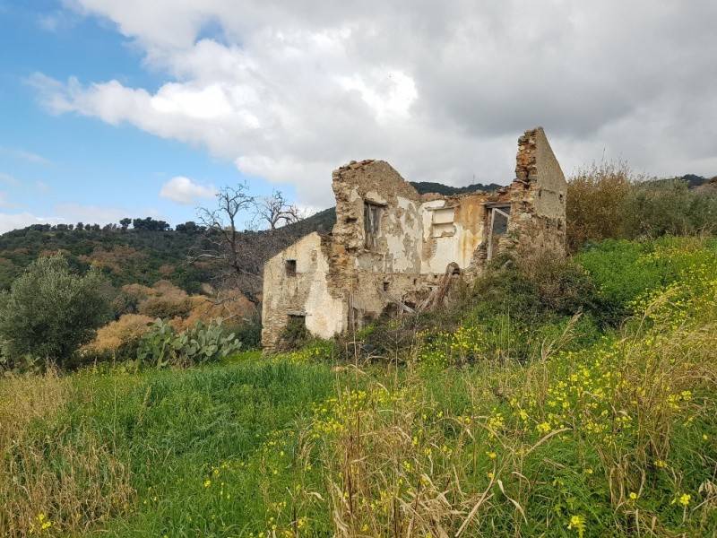 Rustico / casale a Gizzeria in contrada limagria - Foto 3