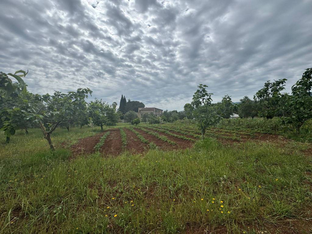 Terreno a Lamezia terme in Via Monsignor Azio Davoli - Foto 2