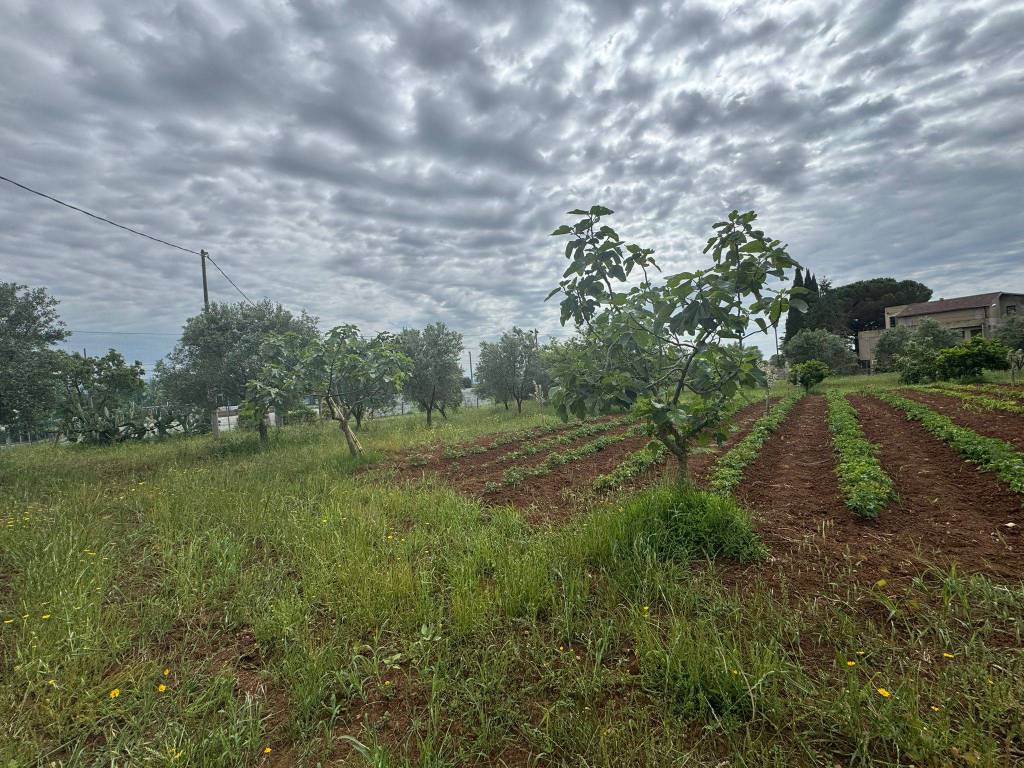 Terreno a Lamezia terme in Via Monsignor Azio Davoli - Foto 3