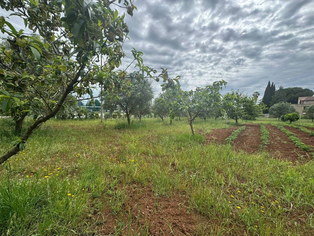 Terreno a Lamezia terme in Via Monsignor Azio Davoli - Foto 4