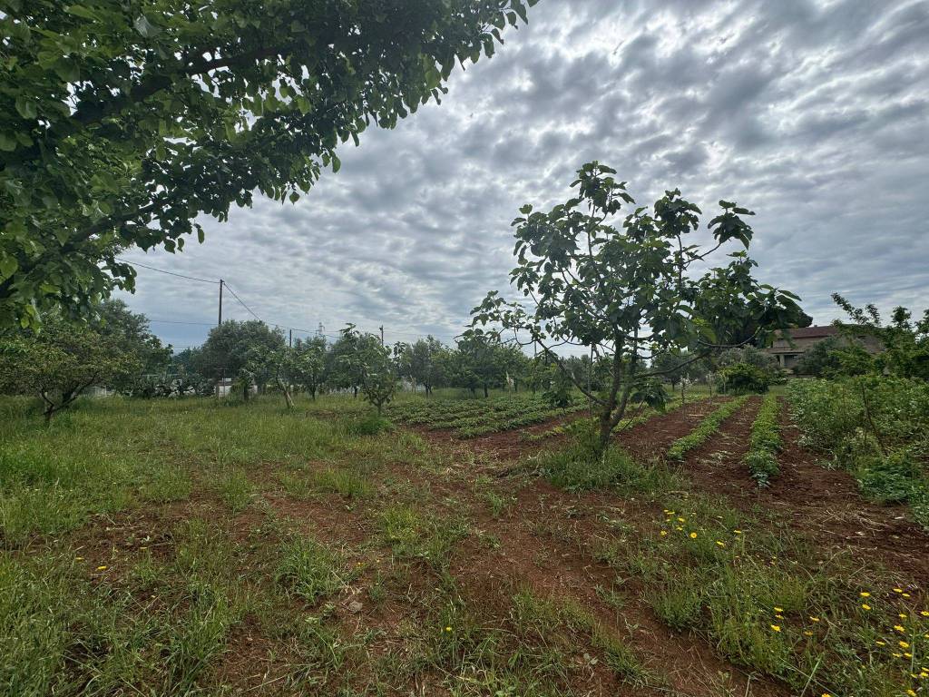 Terreno a Lamezia terme in Via Monsignor Azio Davoli - Foto 5