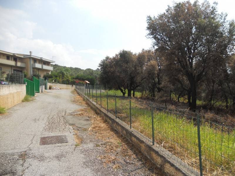 Terreno a Gizzeria in LocalitÃ Signorelli - Foto 2