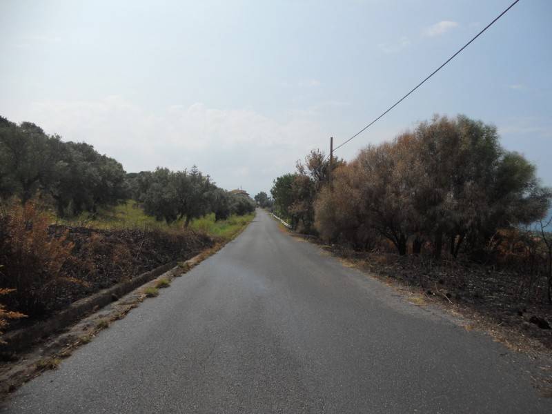 Terreno a Gizzeria in LocalitÃ Signorelli - Foto 3